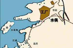 水俣病症状,神秘病症的真相与危害