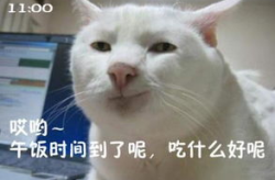 搞笑猫咪,猫咪的幽默瞬间大盘点