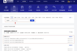 公司查询,公司发展历程与未来展望