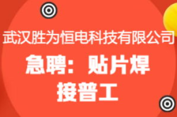 武汉市招聘网官网,汇聚人才，助力梦想起航