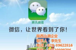 商洛网站建设,打造区域信息化新名片
