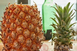 菠萝的功效,天然消化助手，健康生活必备水果”