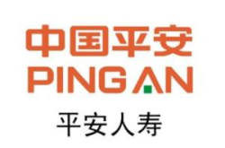 中国平安人寿保险公司官方网站,全方位保障与贴心服务一览
