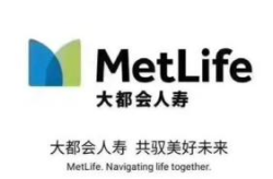 大都会人寿怎么样,全球领先保险解决方案提供商的稳健发展之路