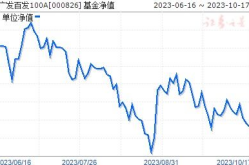 百发基金,稳健投资之道，解析指数型基金的魅力